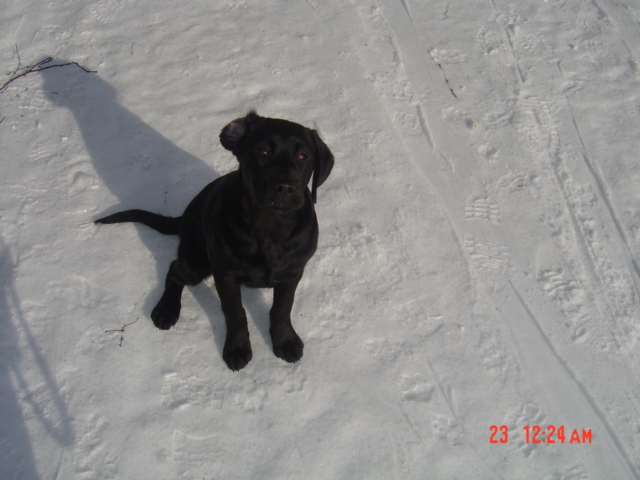 Kuk:-)